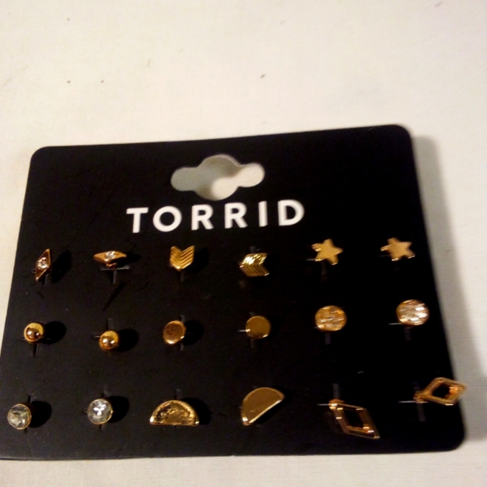 TORRID earrings